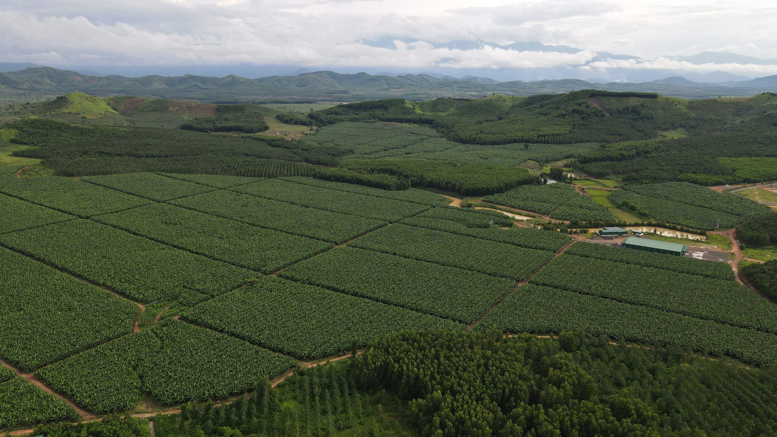 Dự án liên hợp nông nghiệp công nghệ cao Phước An ở huyện Krông Pắc, tỉnh Đắk Lắk.